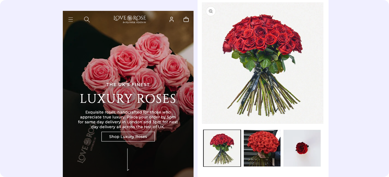 Love Rose 3 ( Desktop )